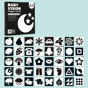 VisionBook – Educatief & Leerzaam – Baby Cognitie Kaartenboek
