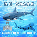 SeaBuddy – Creatief & Bewegend – RC Haai