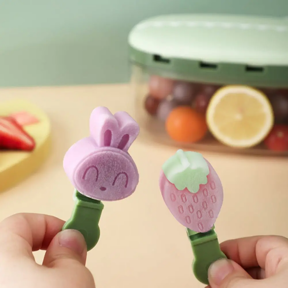 LollyFun – Creatief & Praktisch – Siliconen IJsjesvorm met Bewaardoos