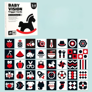 VisionBook – Educatief & Leerzaam – Baby Cognitie Kaartenboek