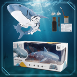 SeaBuddy – Creatief & Bewegend – RC Haai