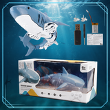 SeaBuddy – Creatief & Bewegend – RC Haai