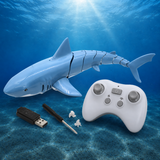 SeaBuddy – Creatief & Bewegend – RC Haai