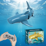 SeaBuddy – Creatief & Bewegend – RC Haai