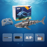 SeaBuddy – Creatief & Bewegend – RC Haai