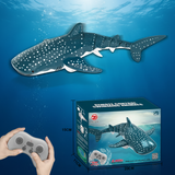 SeaBuddy – Creatief & Bewegend – RC Haai