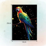 GlowArt – Glow-in-the-dark – Kraskaarten Set