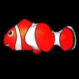 DreamFish™ - Slaapvriendelijke Vissen - Droomvisje
