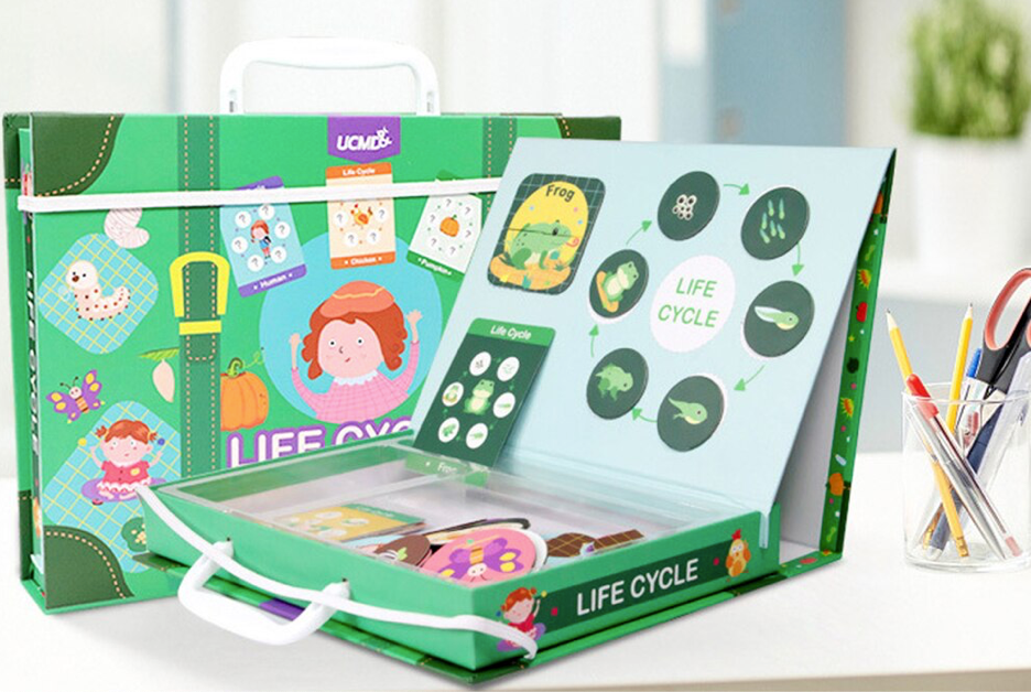 LifeCycle™ - Een leuke manier om over levenscycli te leren! - Puzzelbox