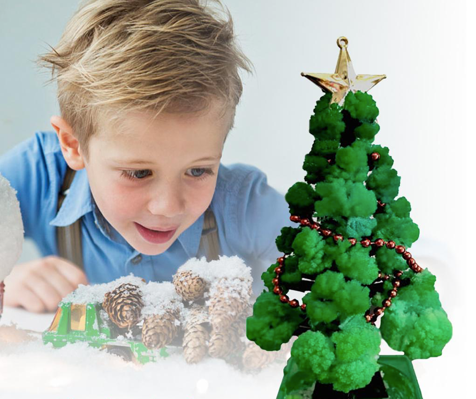 GrowTree™ - Kweek je eigen kerstboom! - Kerstboom kweekset (1+1 GRATIS)